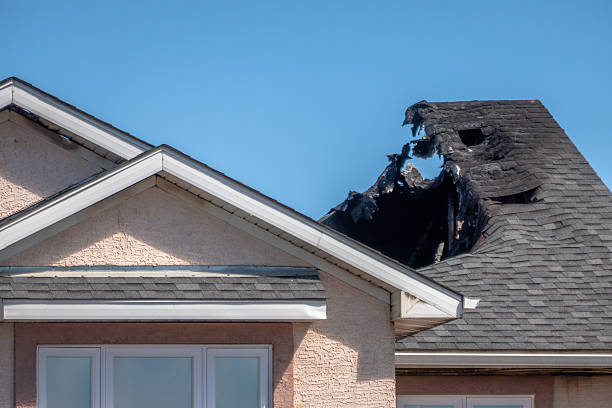 Top rated local Fire Damage Removal specialists in Elko New Market, MN
